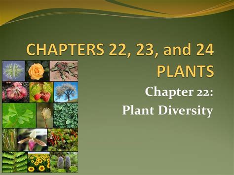 chapter 22 plant diversity answer key Kindle Editon