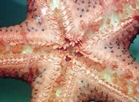 chapter 23 chapter review solutions Epub