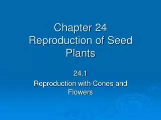 chapter 24 reproduction of seed plants vocabulary review Ebook Doc