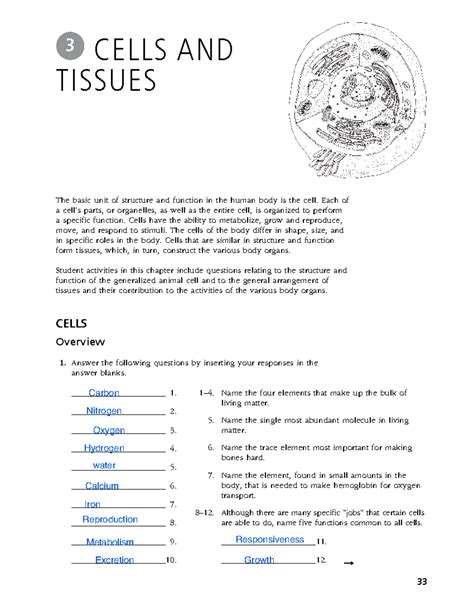 chapter 3 cells and tissues packet answer key PDF