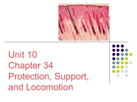 chapter 34 protection support and locomotion answers Ebook Kindle Editon