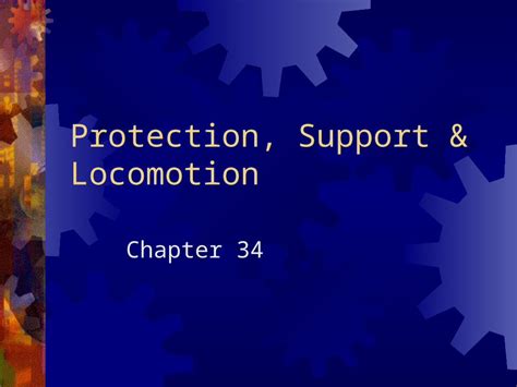 chapter 34 protection support and locomotion test PDF
