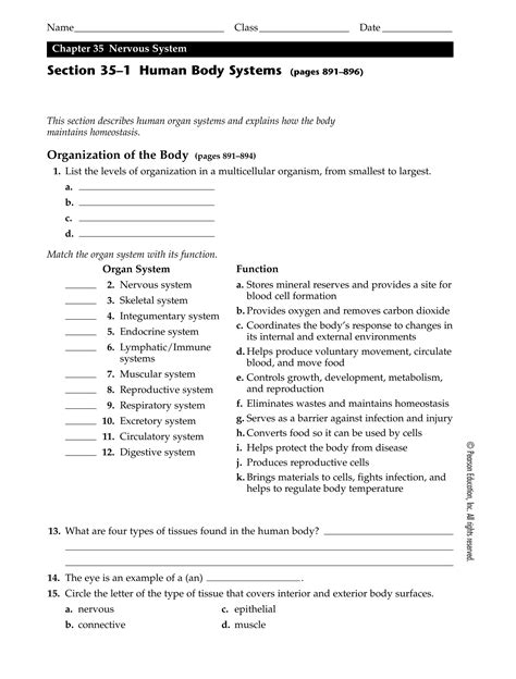 chapter 35 section 1 human body systems Kindle Editon