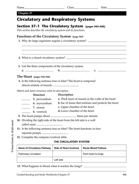 chapter 37 circulatory and respiratory systems Reader