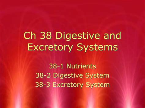chapter 38 2 the process of digestion key Doc