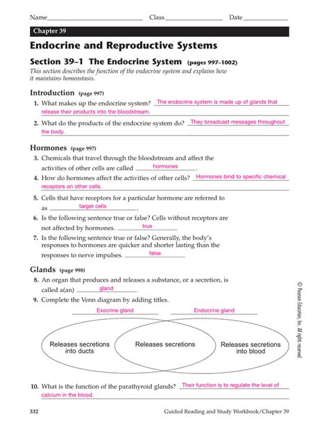 chapter 39 endocrine and reproductive systems answer key Kindle Editon