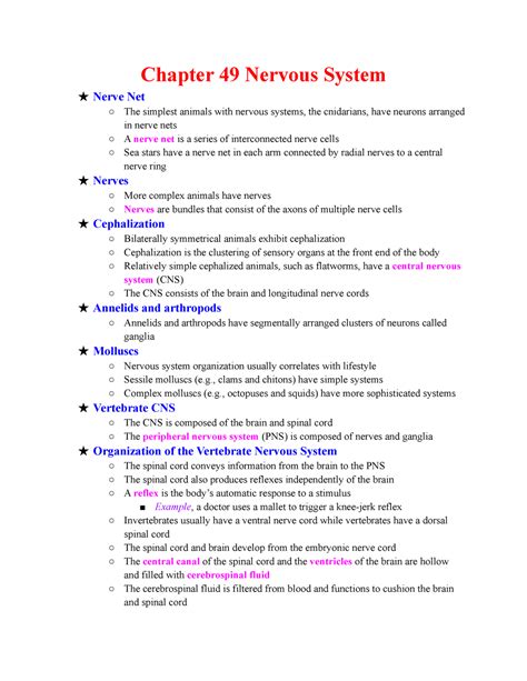 chapter 49 nervous system docstoc Reader