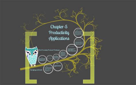 chapter 5 productivity applications Kindle Editon