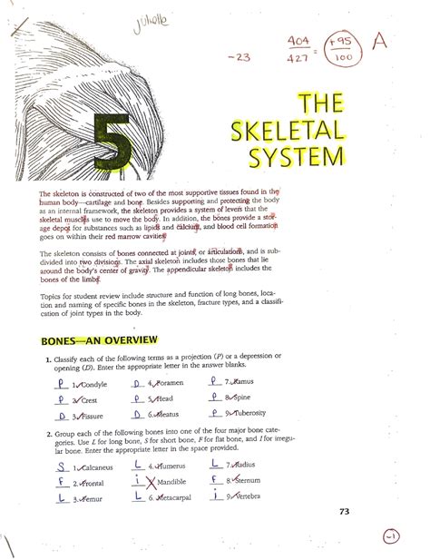 chapter 5 the skeletal system packet answers Doc