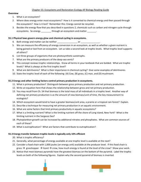 chapter 55 ecosystems ap biology reading guide answers Epub