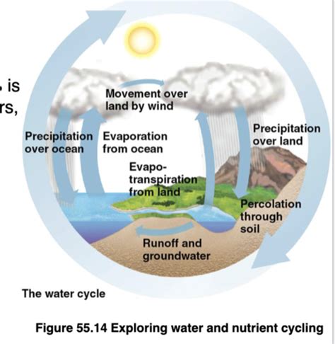 chapter 55 ecosystems study guide answers Epub