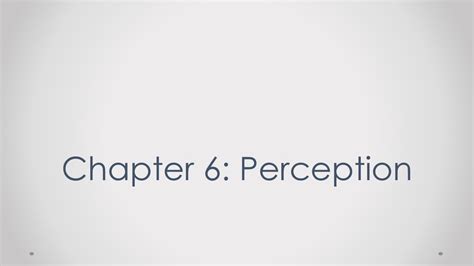 chapter 6 perception study guide Doc