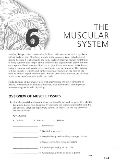 chapter 6 the muscular system packet answers Epub