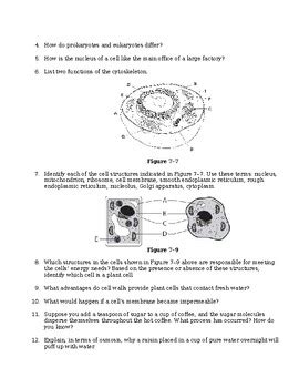 chapter 7 assessment biology Reader