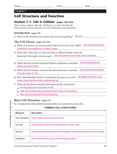chapter 7 cell structure and function worksheet answers PDF