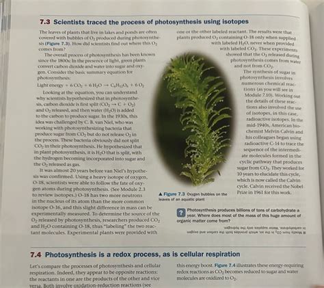 chapter 7 photosynthesis study guide PDF
