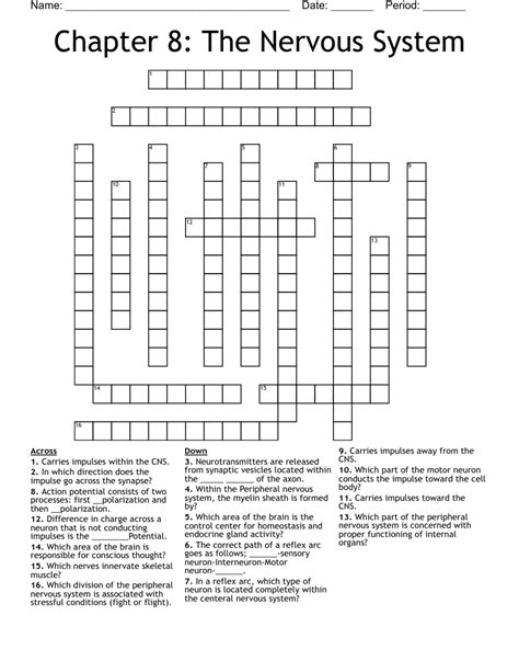 chapter 8 nervous system crossword Reader