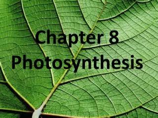 chapter 8 photosynthesis chapter review Kindle Editon