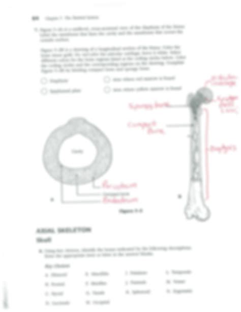 chapter 8 skeletal system answers PDF
