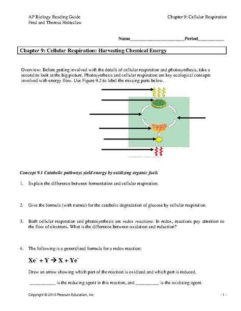 chapter 9 cellular respiration reading guide Reader