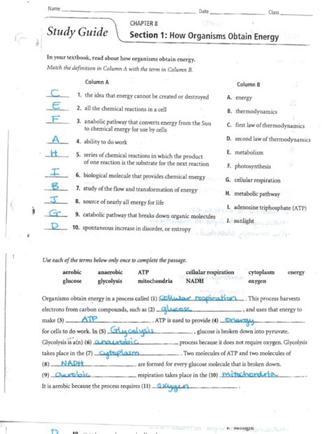 chapter 9 energy in a cell chapter assessment answers Kindle Editon