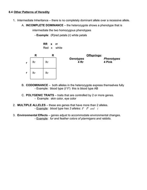 chapter test b fundamentals of genetics Kindle Editon