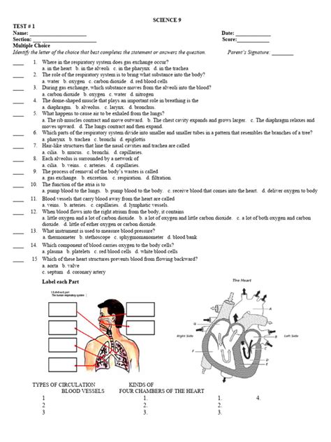 chapter test circulatory and respiratory system Reader