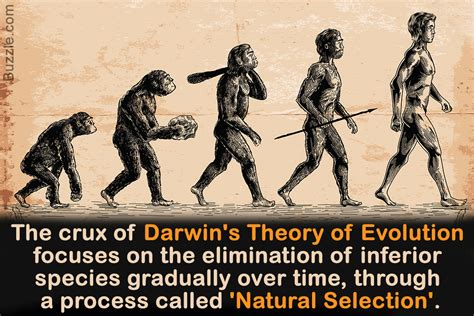 charles darwin the evolution of a thinker Epub