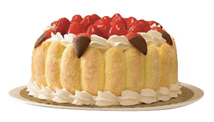 charlotte russe tracking Epub