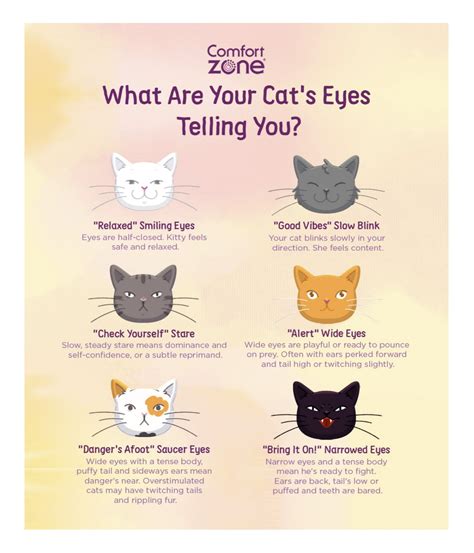 Chart Cat Eye Meaning