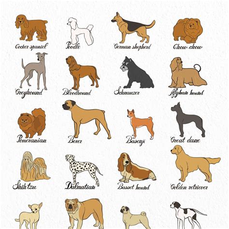 Chart Of Dog Breeds