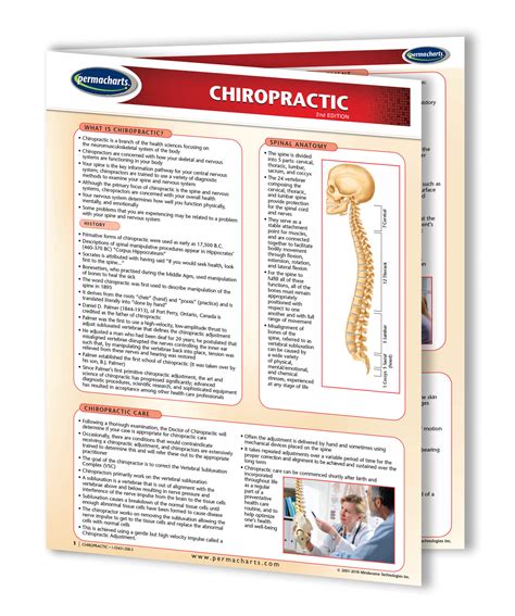 chart-of-accounts-for-chiropractic-office Ebook PDF