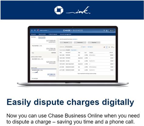 chase online dispute Kindle Editon