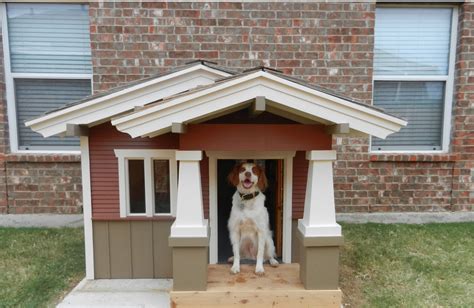 cheap dog houses