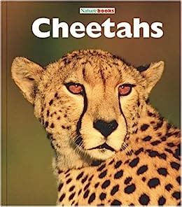 cheetahs naturebooks carnivores Reader