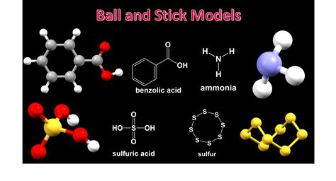 chemical applications of molecular modelling Reader