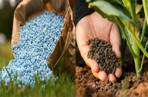 chemical fertilizer equipment coatings