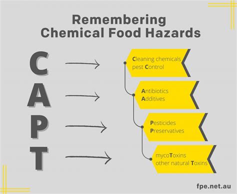 chemical food safety chemical food safety Kindle Editon