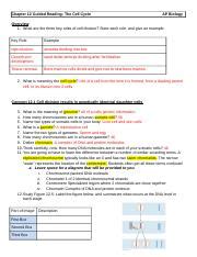 chemistry guided reading chapter 12 Doc