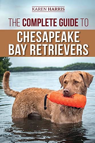 chesapeake retriever training guide book Kindle Editon