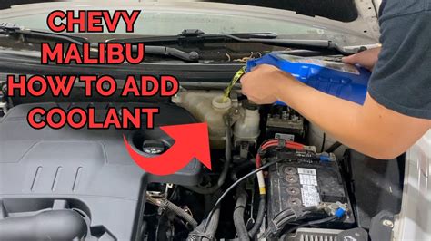 chevy malibu coolant flush Kindle Editon