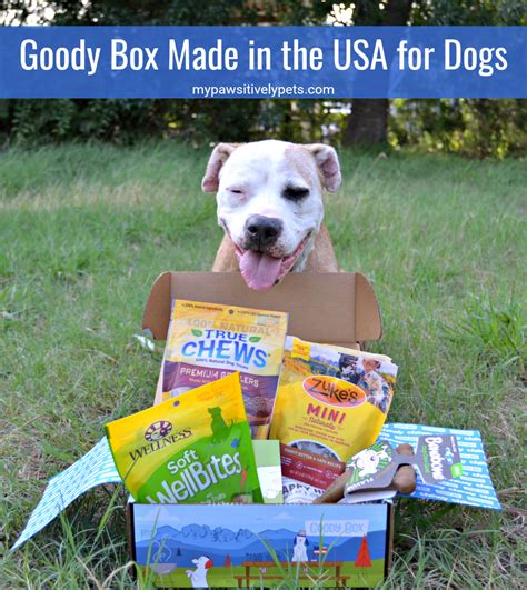 chewy box for dogs