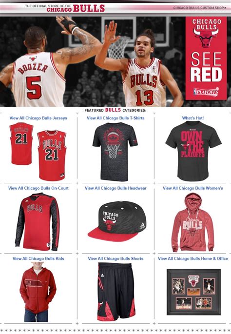 chicago bulls store