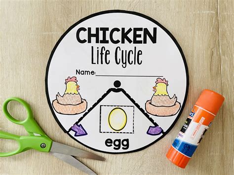 chicken life cycle wheel template Doc