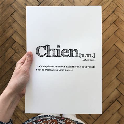 chien meaning