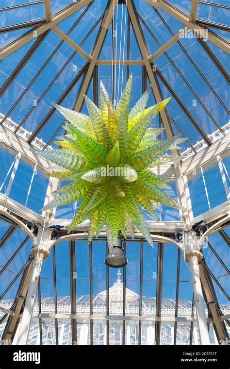 chihuly at the royal botanic gardens kew Kindle Editon