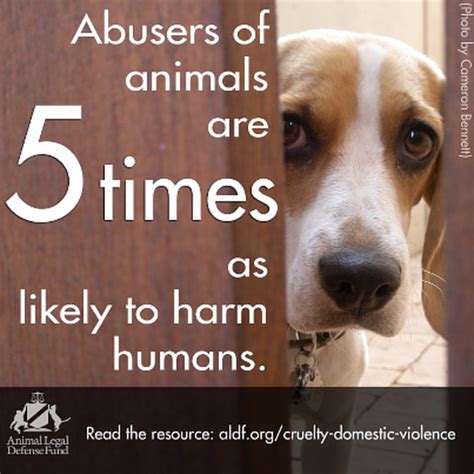 child abuse domestic violence and animal abuse PDF