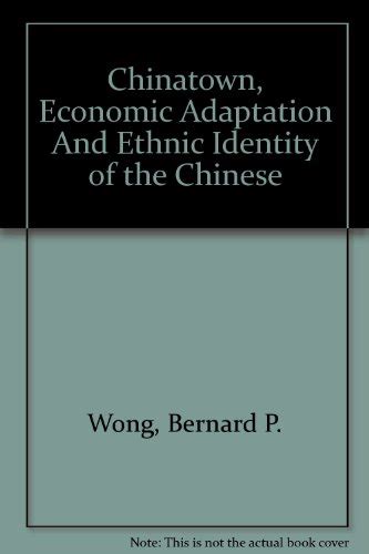 chinatown economic adaptation and ethnic identity of the chinese Kindle Editon