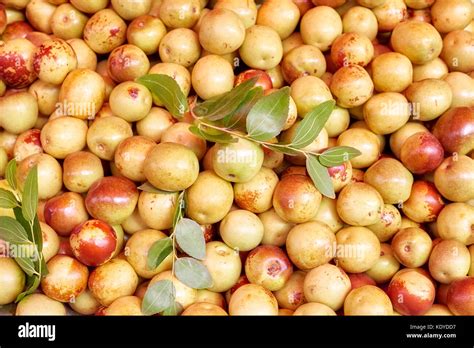 chinese apple fruit