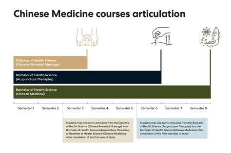 chinese medicine course